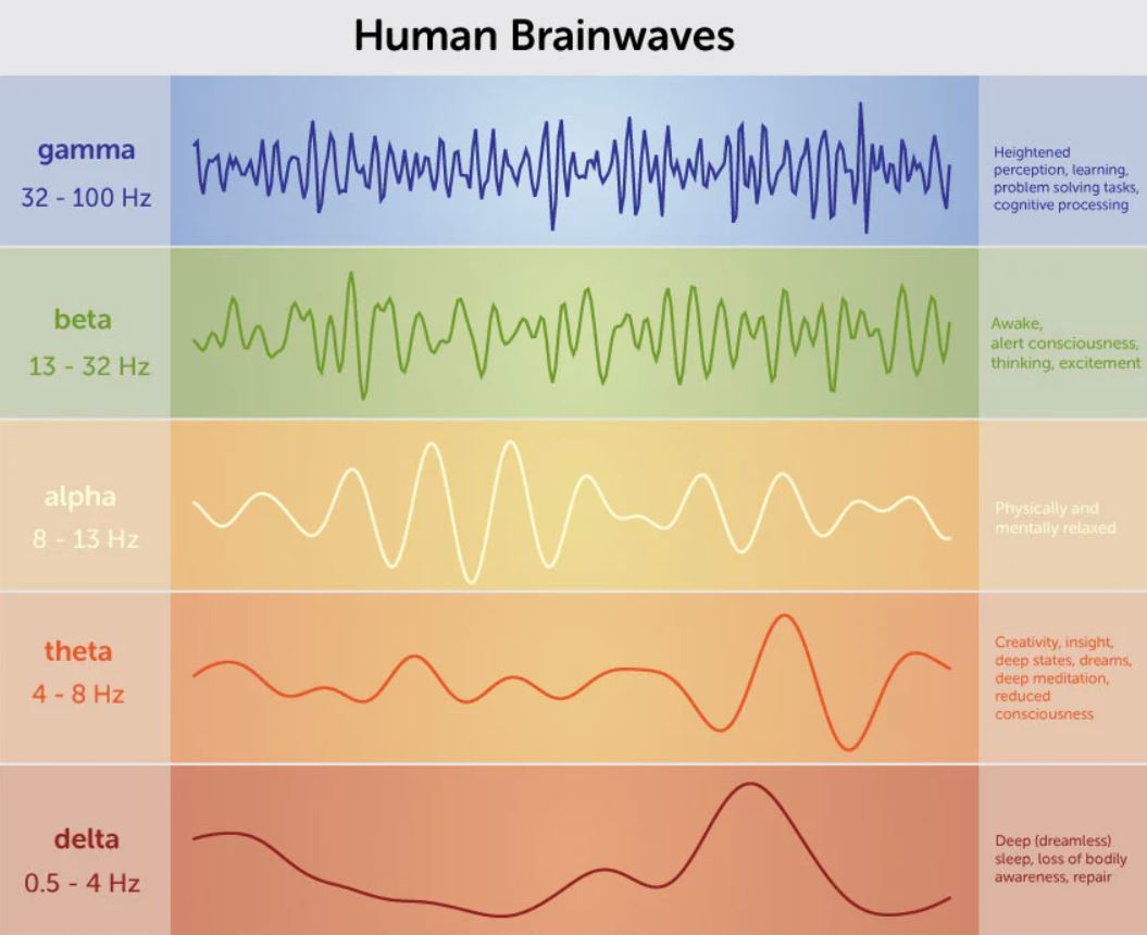 brainwave